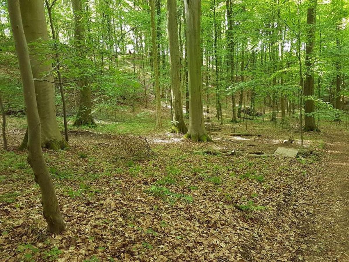 Feriendomizil Bergamini Apartment Bischoffingen Luaran gambar